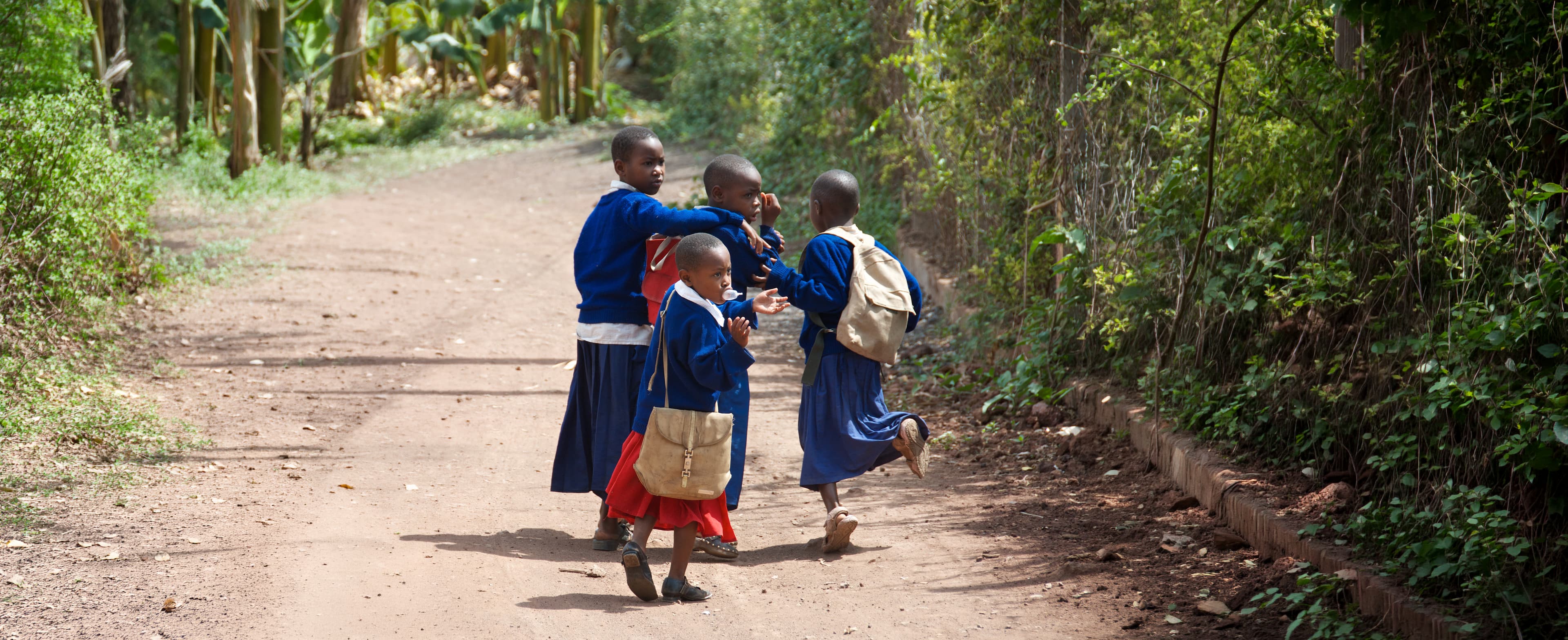 Schoolchildren walking together on a path